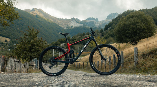 The Best German Bicycle Brands (Full List)