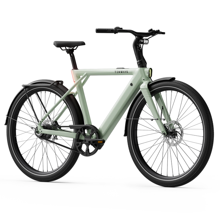 Tenways CGO009 Electric Bike