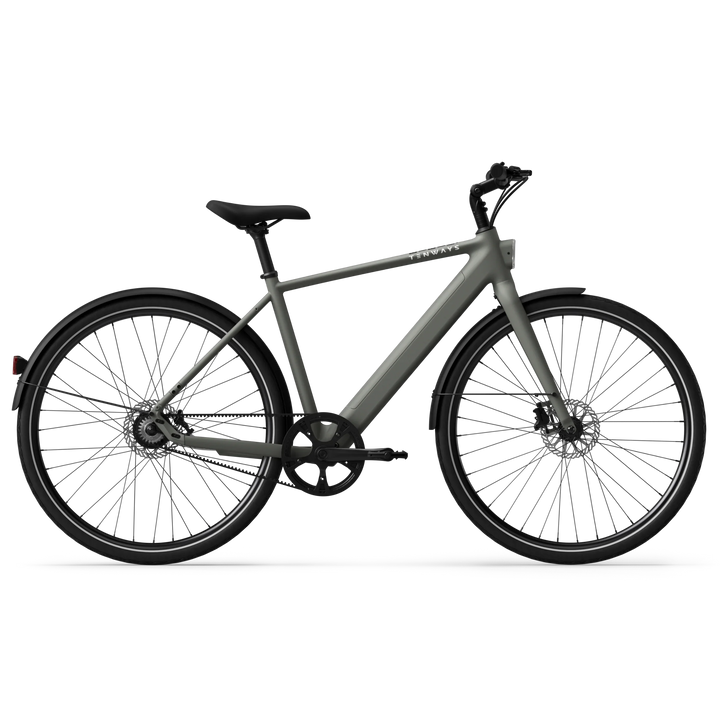 Tenways CGO600 Pro Electric Bike