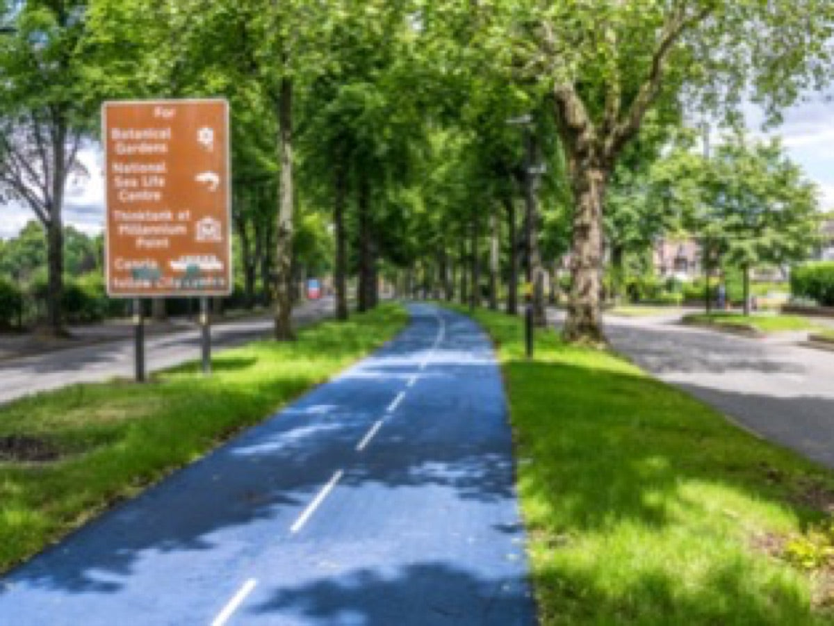 Blue two-way cycle track down the tree-lined central reservation of Bristol Road, Birmingham. Image: Tom Axford, CC BY-SA 4.0