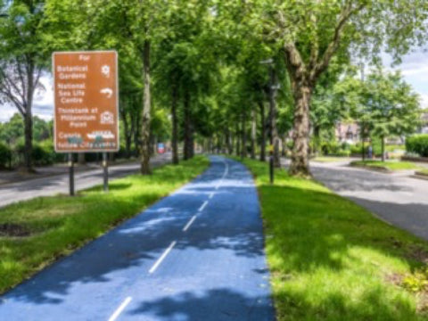 Blue two-way cycle track down the tree-lined central reservation of Bristol Road, Birmingham. Image: Tom Axford, CC BY-SA 4.0