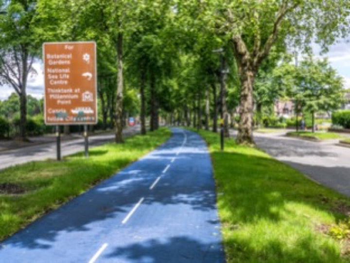 Blue two-way cycle track down the tree-lined central reservation of Bristol Road, Birmingham. Image: Tom Axford, CC BY-SA 4.0