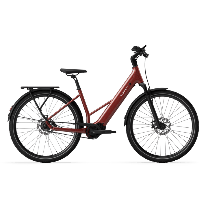 Tenways AGO Air Electric Bike