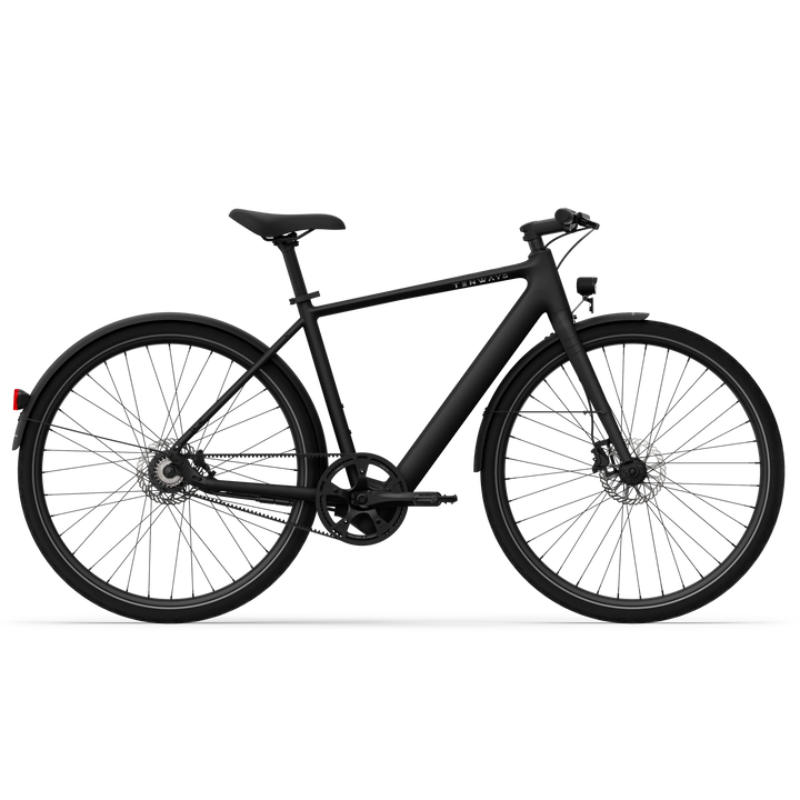 Tenways CGO600 Electric Bike