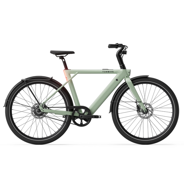 Tenways CGO009 Electric Bike