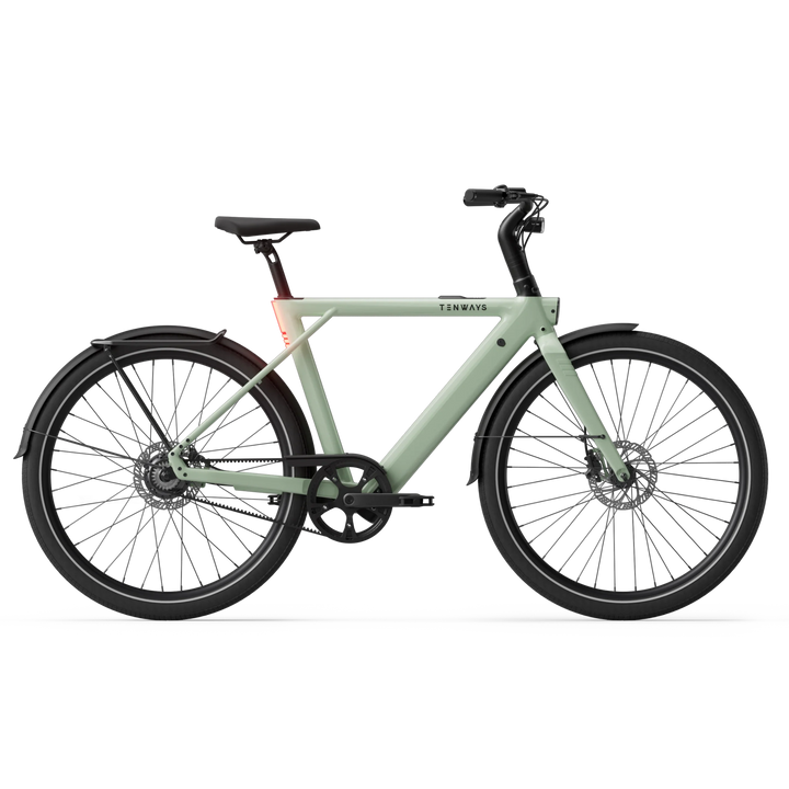 Tenways CGO009 Electric Bike