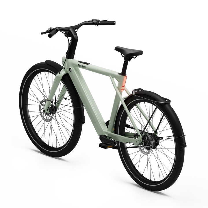 Tenways CGO009 Electric Bike