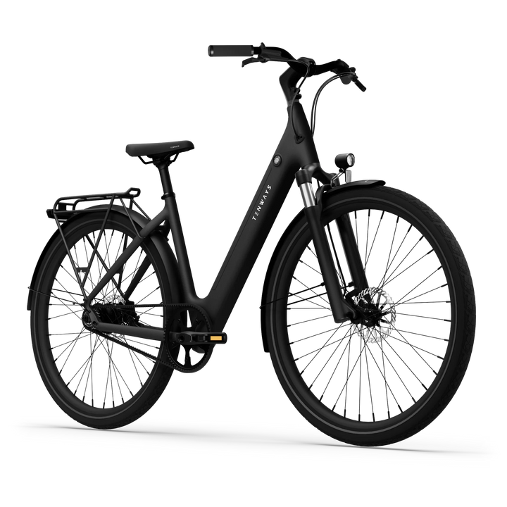Tenways CGO800S Electric Bike