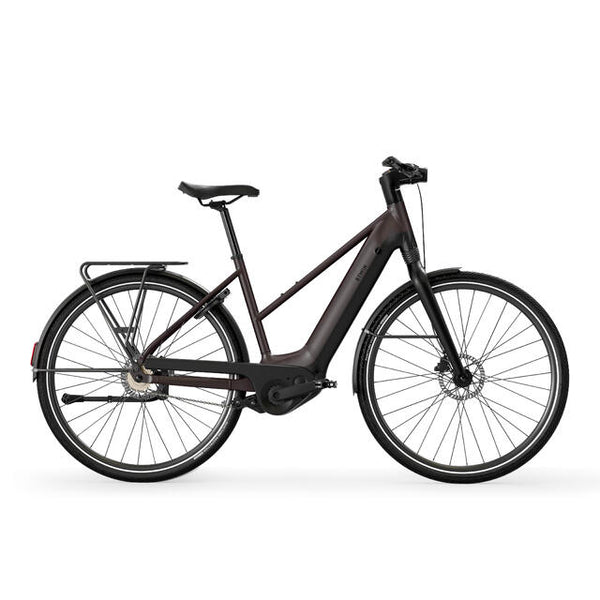 BTWIN Long-Distance Automatic Owuru Motor Low Frame Electric City Bike — Velorution
