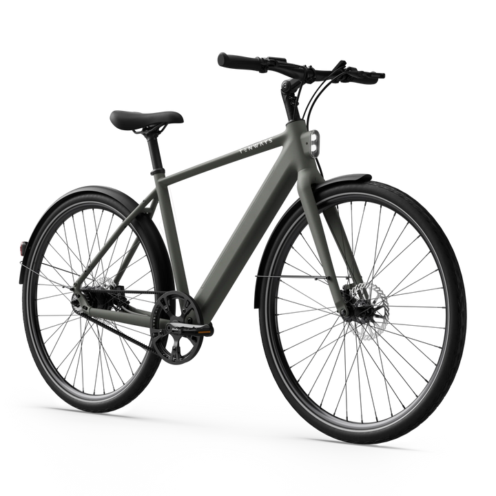 Tenways CGO600 Pro Electric Bike