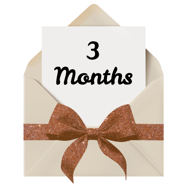 The Velorution Post 3 month gift subscription